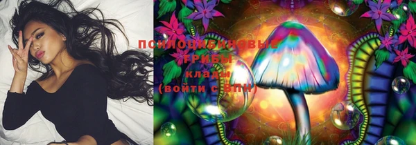 кокс Алексин