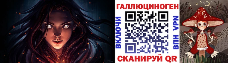 Псилоцибиновые грибы Psilocybine cubensis Торжок