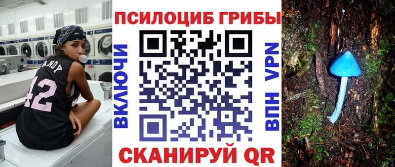 Псилоцибиновые грибы GOLDEN TEACHER  купить наркоту  Торжок 